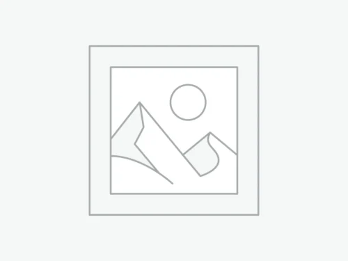 CapCut Pro